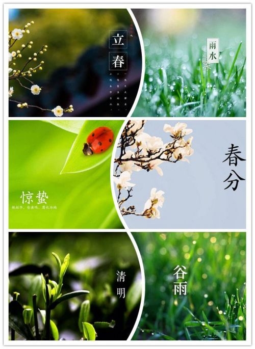 春天的六个节气-科普-陕西青少年服务网